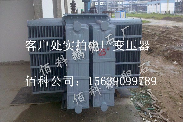 客戶(hù)想要購買(mǎi)齊全的水處理鵝卵石到哪里去？