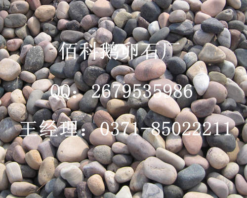 5-8cm公分的鵝卵石能鋪路用嗎？