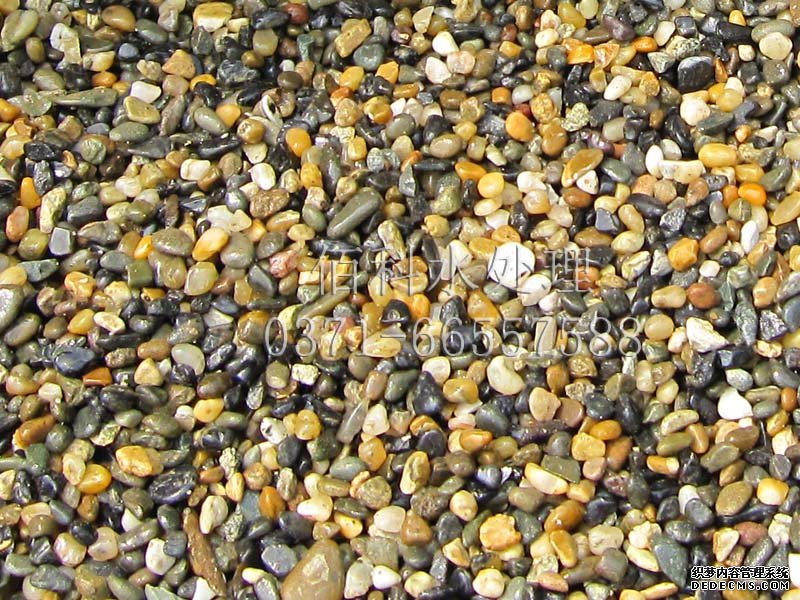 哪里有賣(mài)天然鵝卵石的？